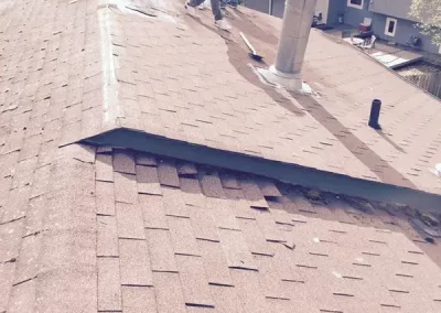 Expert Roof Maintenance