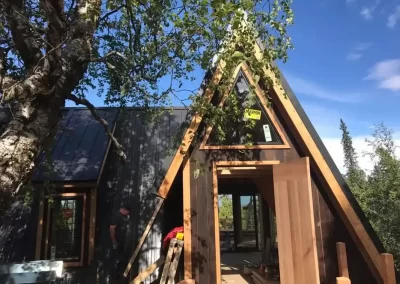 Expert Roof Maintenance