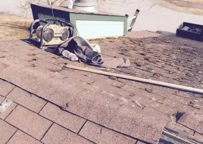 Expert Roof Maintenance