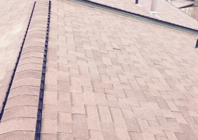 Professional Roofing
