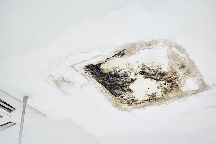 Understanding The Process Of Roof Leak Repair Wasilla, AK